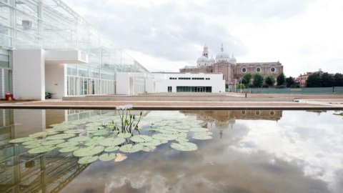 Padua acoge los Fenómenos, la obra maestra de Jean Dubuffet, en el Jardín Botánico