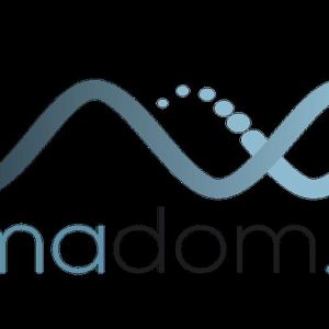 Nasce Almadom.us, a startup de economia de energia