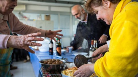 Cibo naturale e Ogm: leggende da sfatare