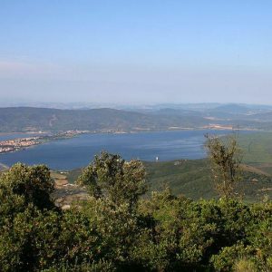 Orbetello, o calor recorde mata peixes: prejuízos de 10 milhões