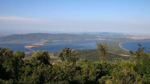 Orbetello, the record heat kills fish: damages for 10 million