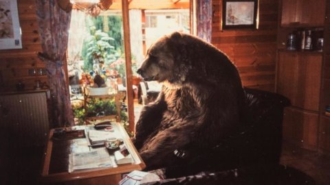 Kino in Pontenuro (PC), zweitausend auf der Suche nach dem Goldenen Esel