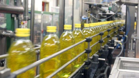 Оливковое масло первого холодного отжима, законные представители 7 крупных итальянских компаний находятся под следствием