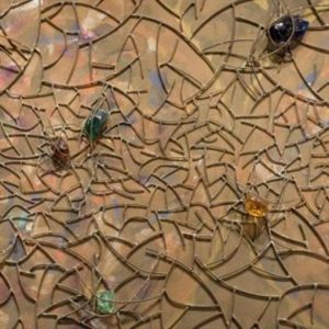 Venezia/Collezione Peggy Guggenheim – Record di visitatori nel 2015 con oltre 400 mila presenze