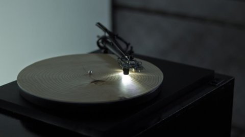 Opificio Golinelli, Bologne : musique des cercles d'un arbre comme des sons de piano