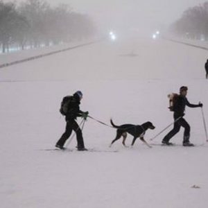 Usa, infuria la tempesta di neve: almeno 19 morti