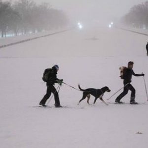 USA, der Schneesturm tobt: Mindestens 19 Tote