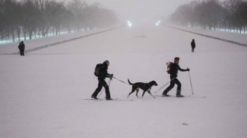 Usa, the snow storm rages: at least 19 dead