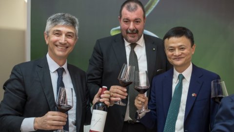 Vinuri: Mezzacorona prima vinărie italiană care a aterizat pe Alibaba