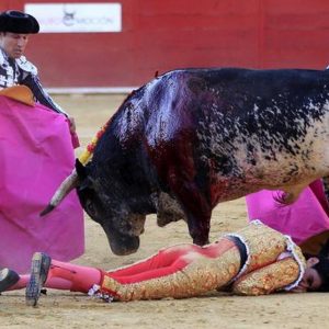 Spanien: Stierkämpfer stirbt bei Stierkampf