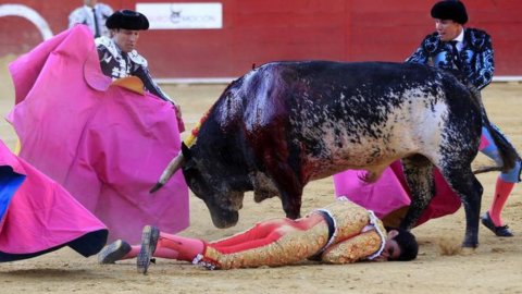 Spain: bullfighter dies during bullfighting