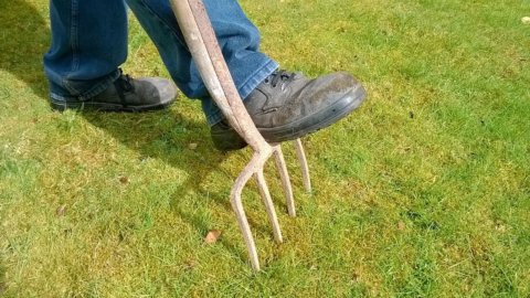 ますます緑豊かなイタリア人: 家庭菜園や菜園がブームになっています