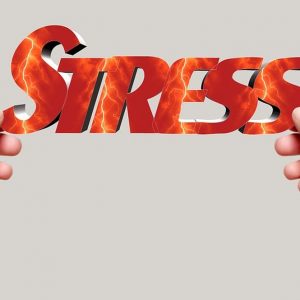Gli stress test servono più alla speculazione che alle banche