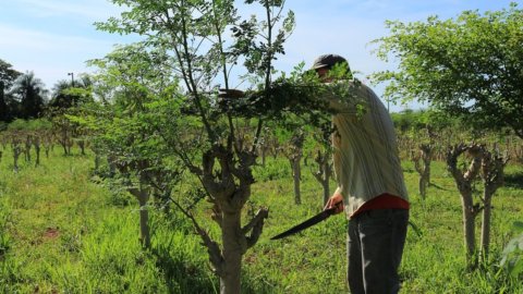 Confagricoltura व्यवसाय नेटवर्क के लिए एक संघ बनाता है