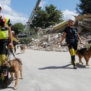 Gempa, pentingnya anjing pager