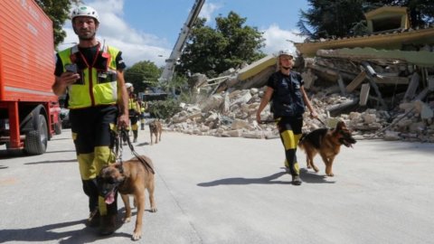 Terremoto, l’importanza dei cani cercapersone