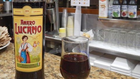 L’Amaro Lucano punta all’estero: nel mirino Brasile e Cina