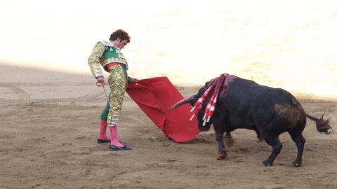 Corrida: este război între Spania și Catalonia