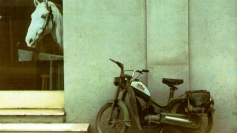 写真、ルイジ・ギッリとアンドレア・ディ・マルコへのオマージュ