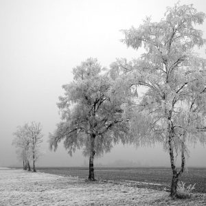 Meteo, freddo polare: -32 ad Asiago