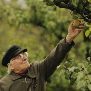 Palatul italian în căutarea „artiştilor pământului”