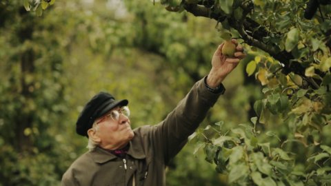 Il Palato Italiano alla ricerca degli “artisti della terra”