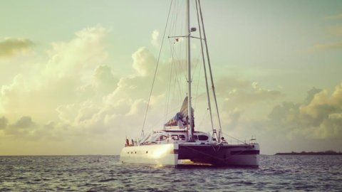 Stella, on a catamaran from Miami to Trieste for the rights of the disabled