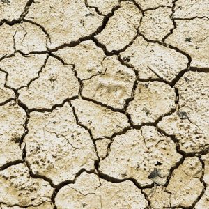 Agricoltura, è allarme siccità: piove troppo poco