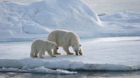 Sioi: quello che succede nell’Artico va oltre l’Artico