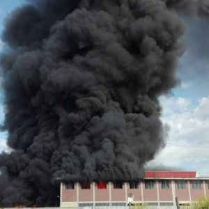 Nube Pomezia, miedo a las dioxinas y al amianto