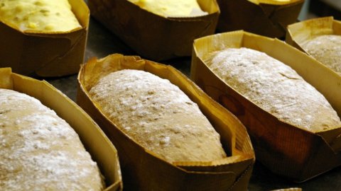 L’Italian food e il pane integrale: ecco come farlo in casa