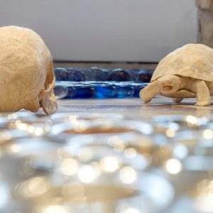 Jan Fabre, Begleitausstellung der 57. Biennale Venedig