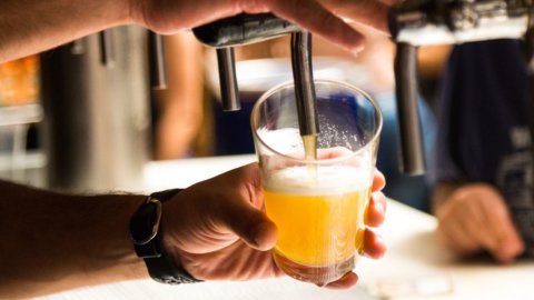 Birra, futuro da incubo: il caldo uccide l’orzo e i prezzi volano