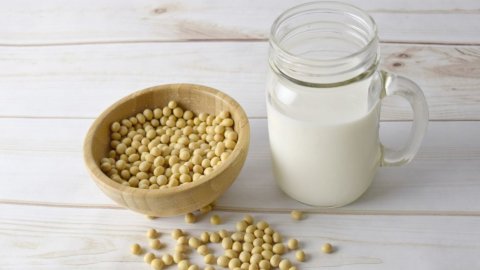 Susu dan keju, UE: yang vegan tidak ada