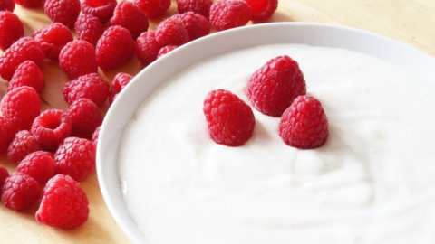 Yogurt, lo chiamano bio ma viaggia per 10mila km