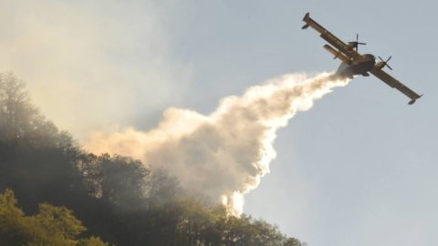 Incendi Sicilia: bruciano Catania e San Vito