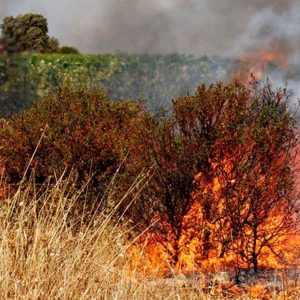 Emergência de incêndio: finalmente o primeiro dinheiro da UE