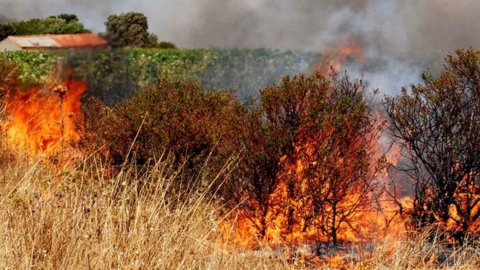 Incendi: ancora nuovi roghi in Sicilia