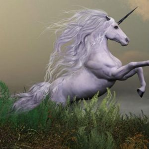 Bocconi: fondos soberanos persiguiendo unicornios