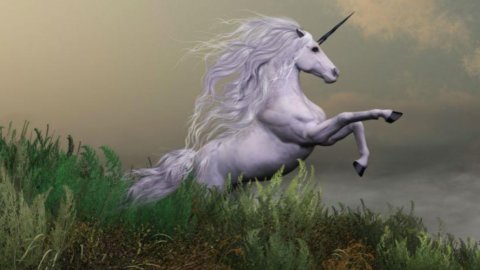 Bocconi: fondos soberanos persiguiendo unicornios