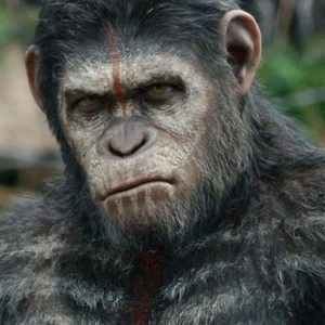 Cinema: “The War” and the monkeys return to planet Earth