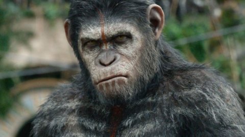 Cinema: “The War” e tornano le scimmie sul pianeta Terra