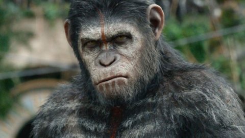 Cinema: “The War” and the monkeys return to planet Earth