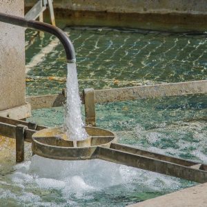 Emergenza acqua, ecco tutte le ragioni del collasso