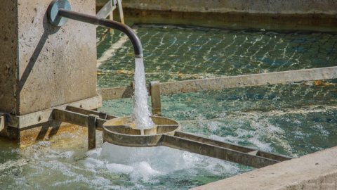 Wassernotfall, hier sind alle Gründe für den Zusammenbruch