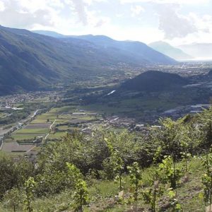 Agricola Vallecamonica: Iseo جھیل کی گہرائی اس کی شراب کے لیے تہھانے کے طور پر