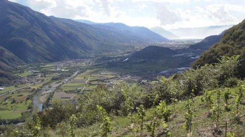 Agricola Vallecamonica : les profondeurs du lac d'Iseo comme cave pour son vin