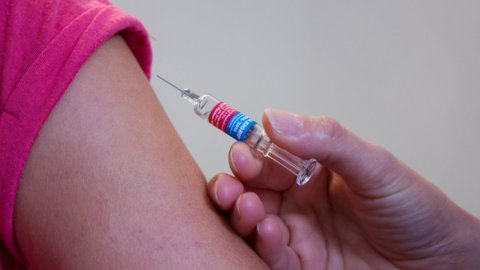 Vaccini ، فينيتو يعلق الوقف