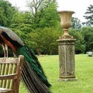 Cezanne Morandi nella “Villa dei capolavori” su MANIFESTO12