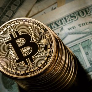 記録破りのビットコイン: 4.000 ドル以上